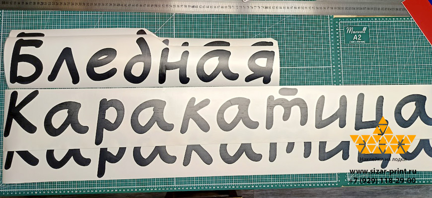Название Бледная Каракатица